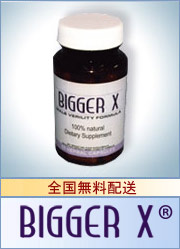 biggerx_ban.jpg